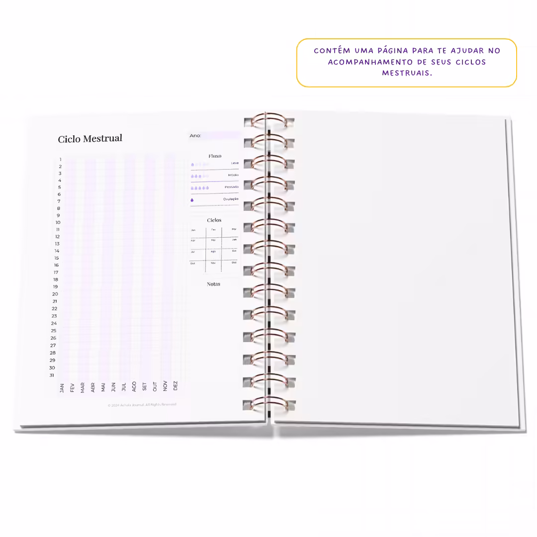 Planner Fitness MandalaFit Semestral - Intuitivo e Prático