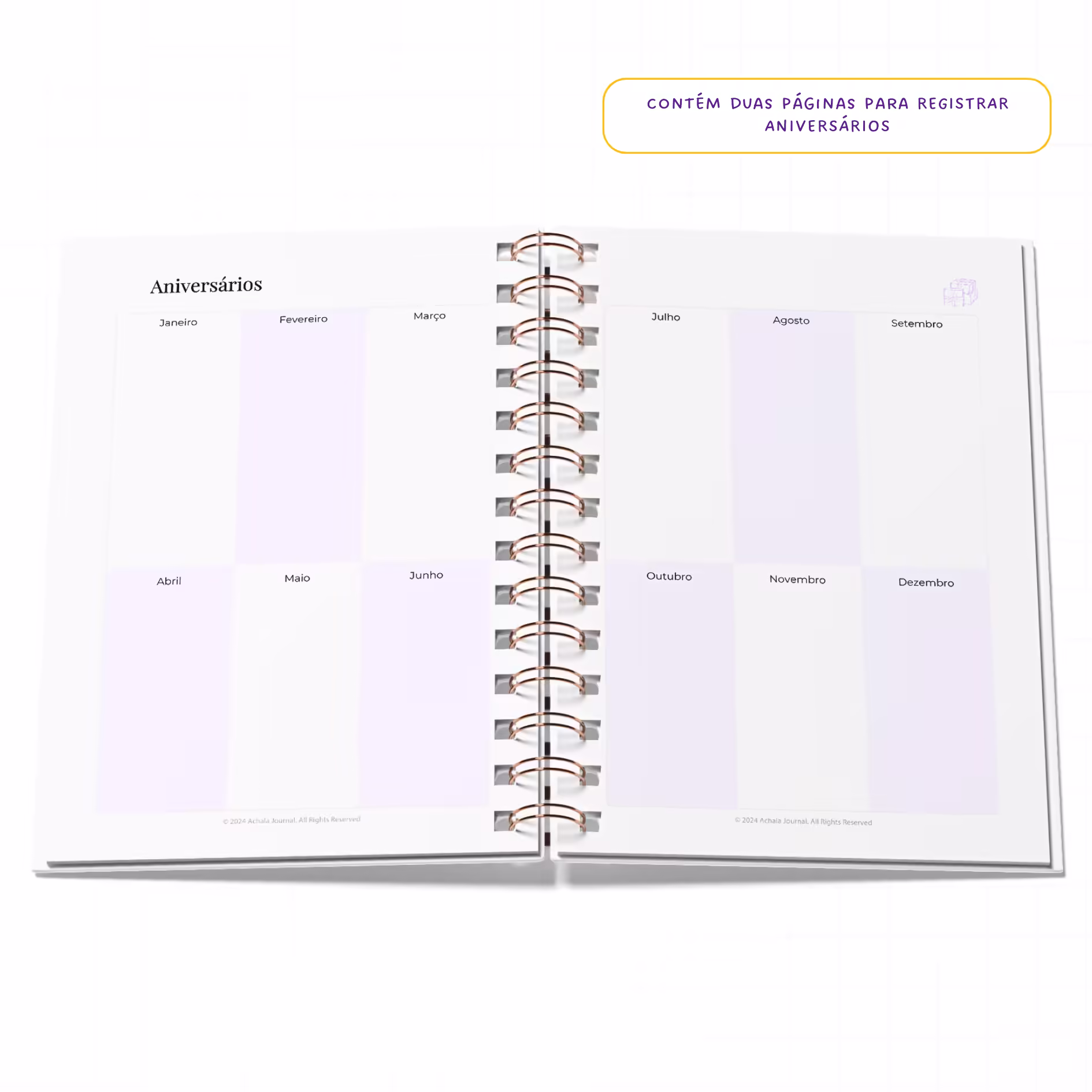 Planner Fitness MandalaFit Semestral - Intuitivo e Prático