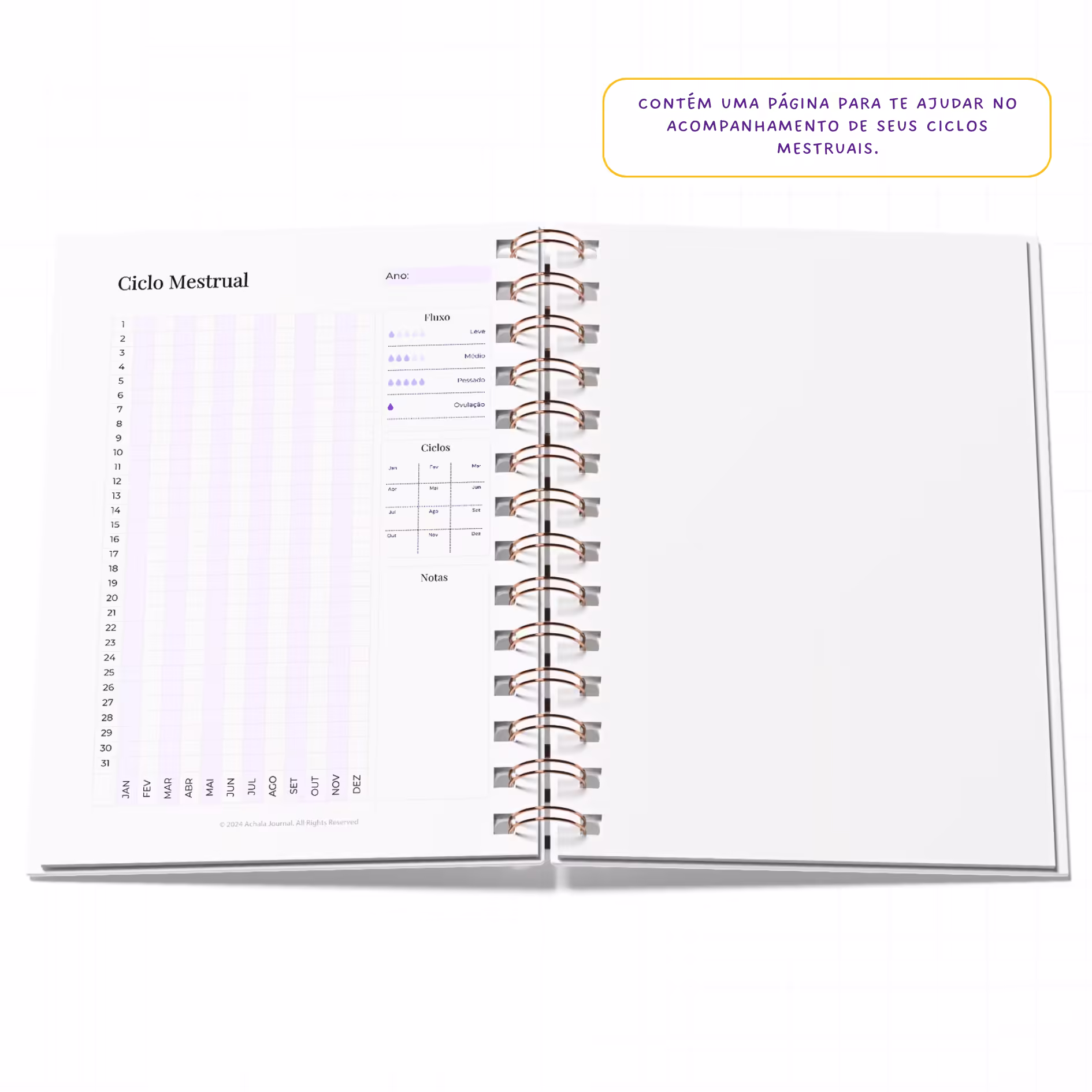 Planner Fitness MandalaFit Semestral - Intuitivo e Prático