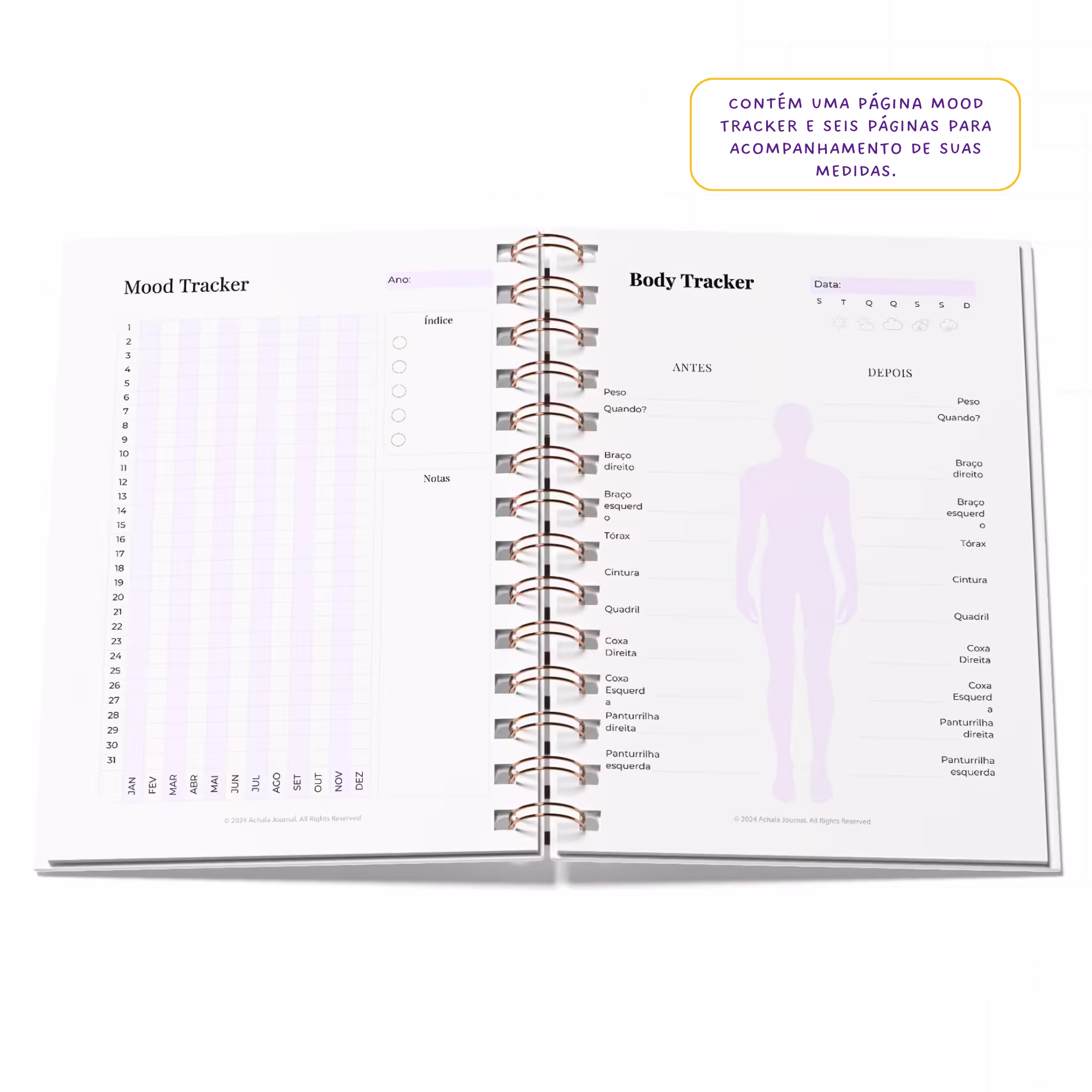 Planner Fitness MandalaFit Semestral - Intuitivo e Prático