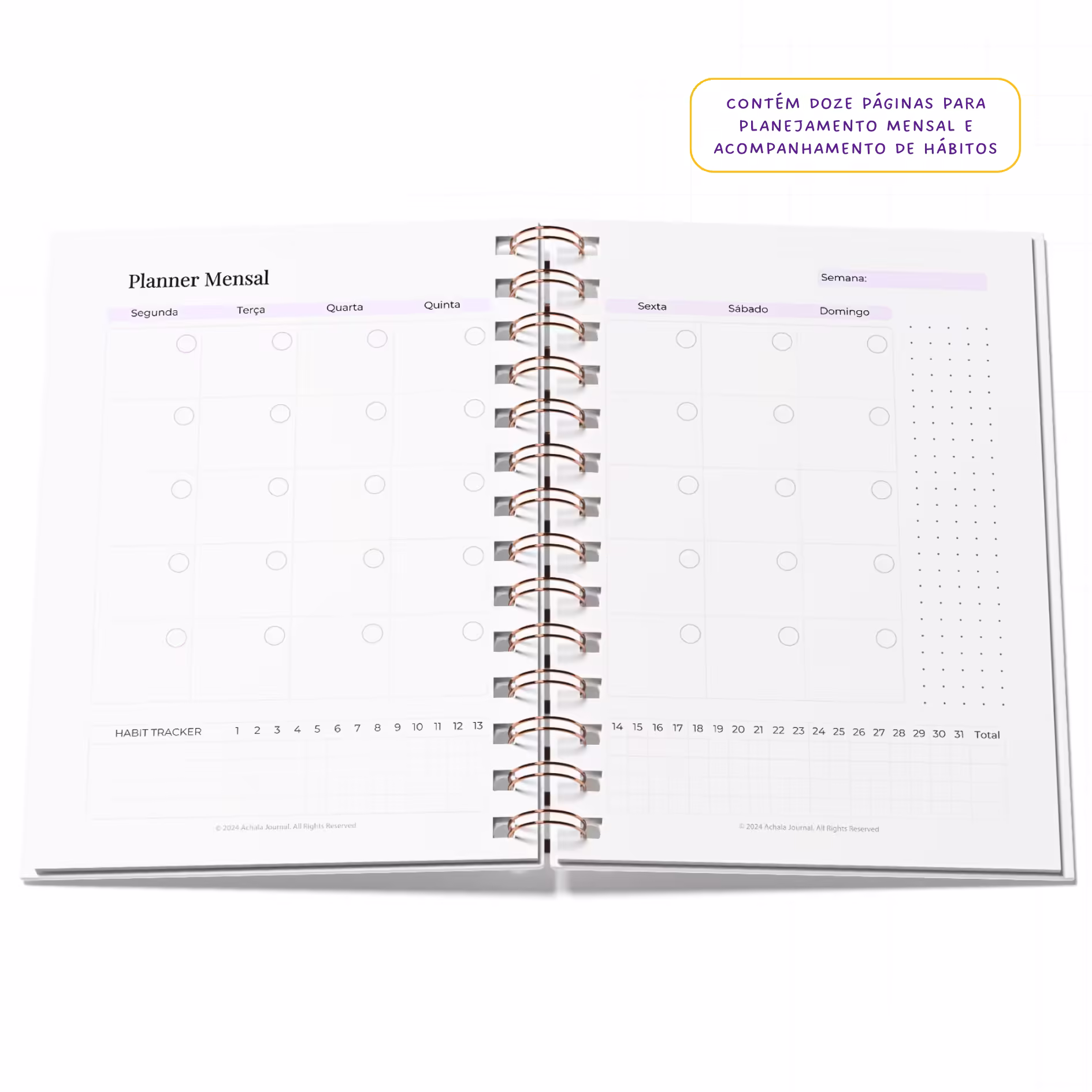 Planner Fitness MandalaFit Semestral - Intuitivo e Prático