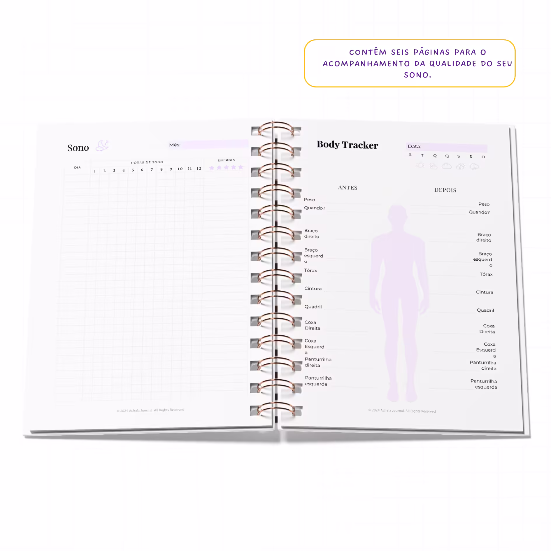 Planner Fitness MandalaFit Semestral - Intuitivo e Prático