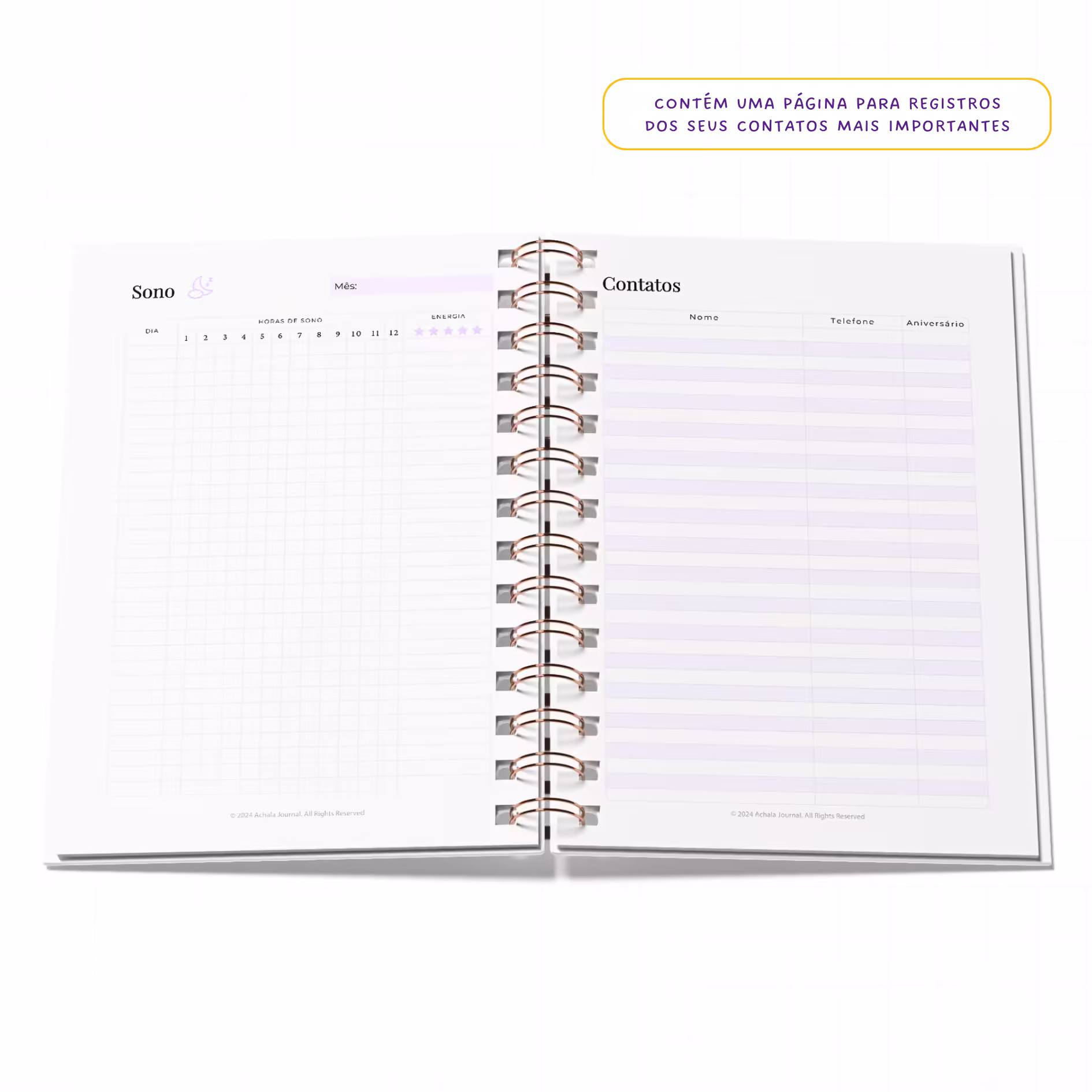 Planner Fitness MandalaFit Semestral - Intuitivo e Prático