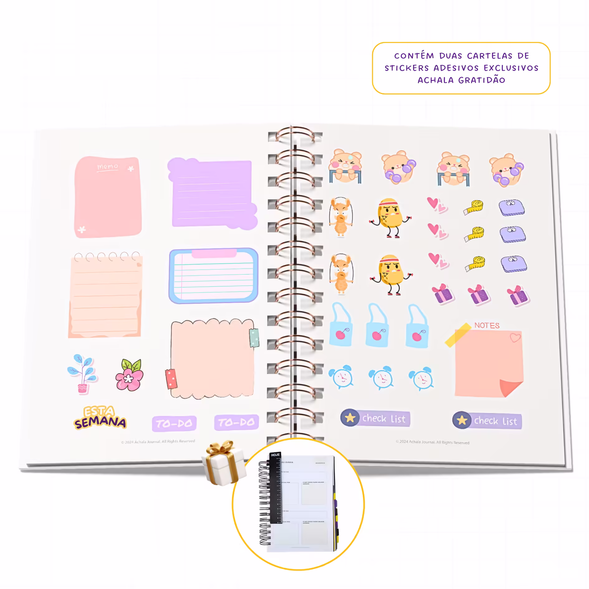 Planner Fitness MandalaFit Semestral - Intuitivo e Prático