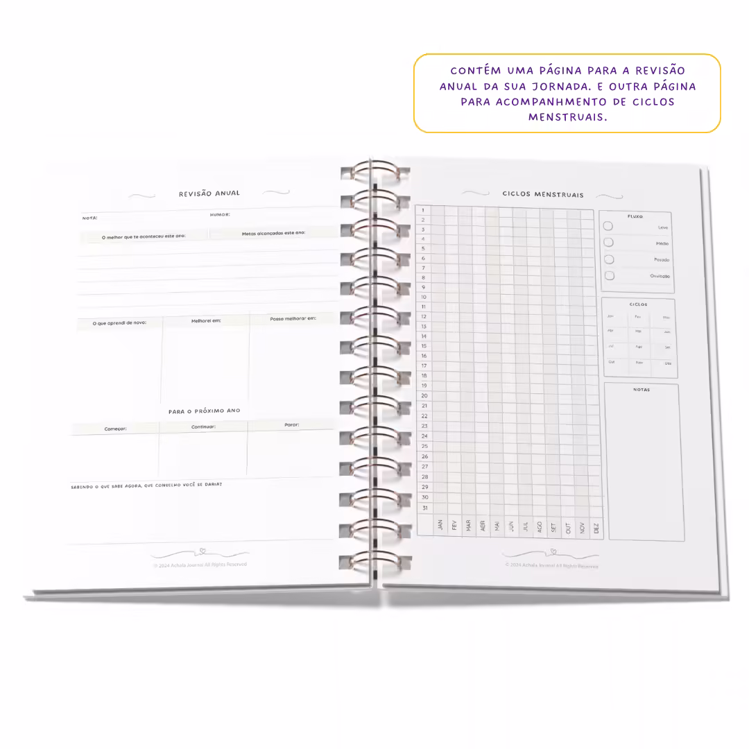 Planner 2025 Anual Datado Journey Noite Celestial - Paper 90g