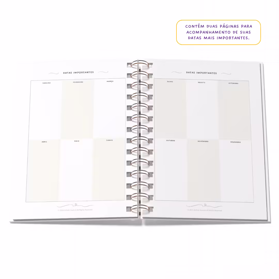 Planner 2025 Anual Datado Journey Noite Celestial - Paper 90g