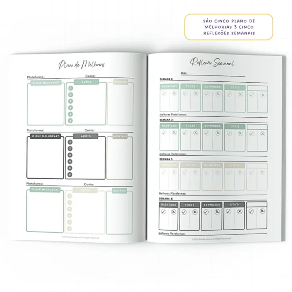 Planner Meu Social Media Diário Connections - Insert Modular