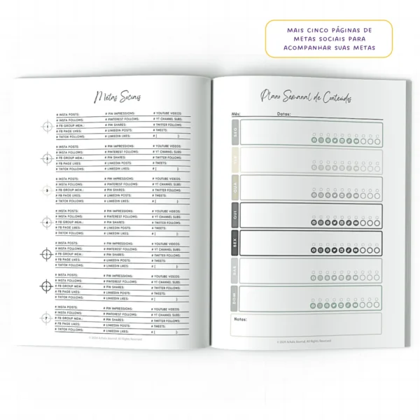 Planner Meu Social Media Diário Connections - Insert Modular